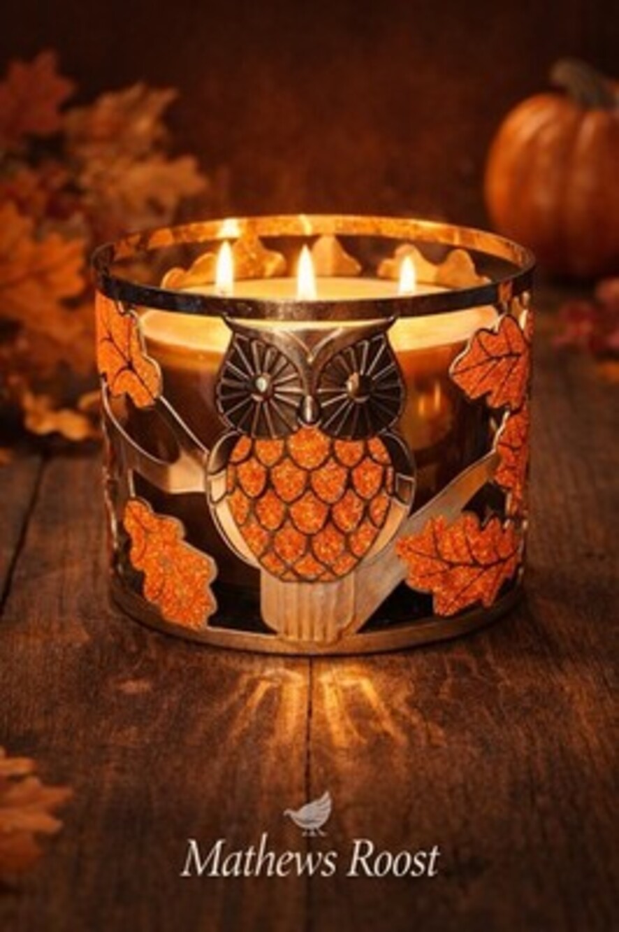 Bath Body Works Owl 3 Wick Candle Holder Sleeve Fall Leaves Glitter Metal